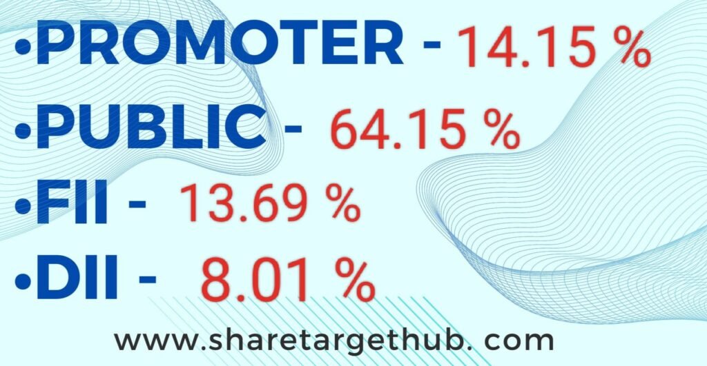 Suzlon energy share investors