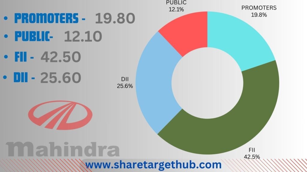 Mahindra and Mahindra Share Investors