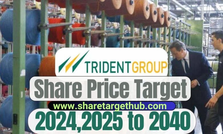 Trident Share Price Target